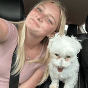 Kylee M., Nanny in Mayer, MN 55360 with 5 years of paid experience