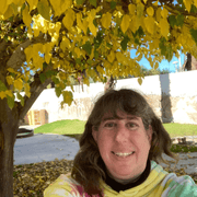 Robin Z., Nanny in 92260 with 35 years of paid experience