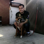 Carlos R., Care Companion in Los Angeles, CA 90044 with 4 years paid experience